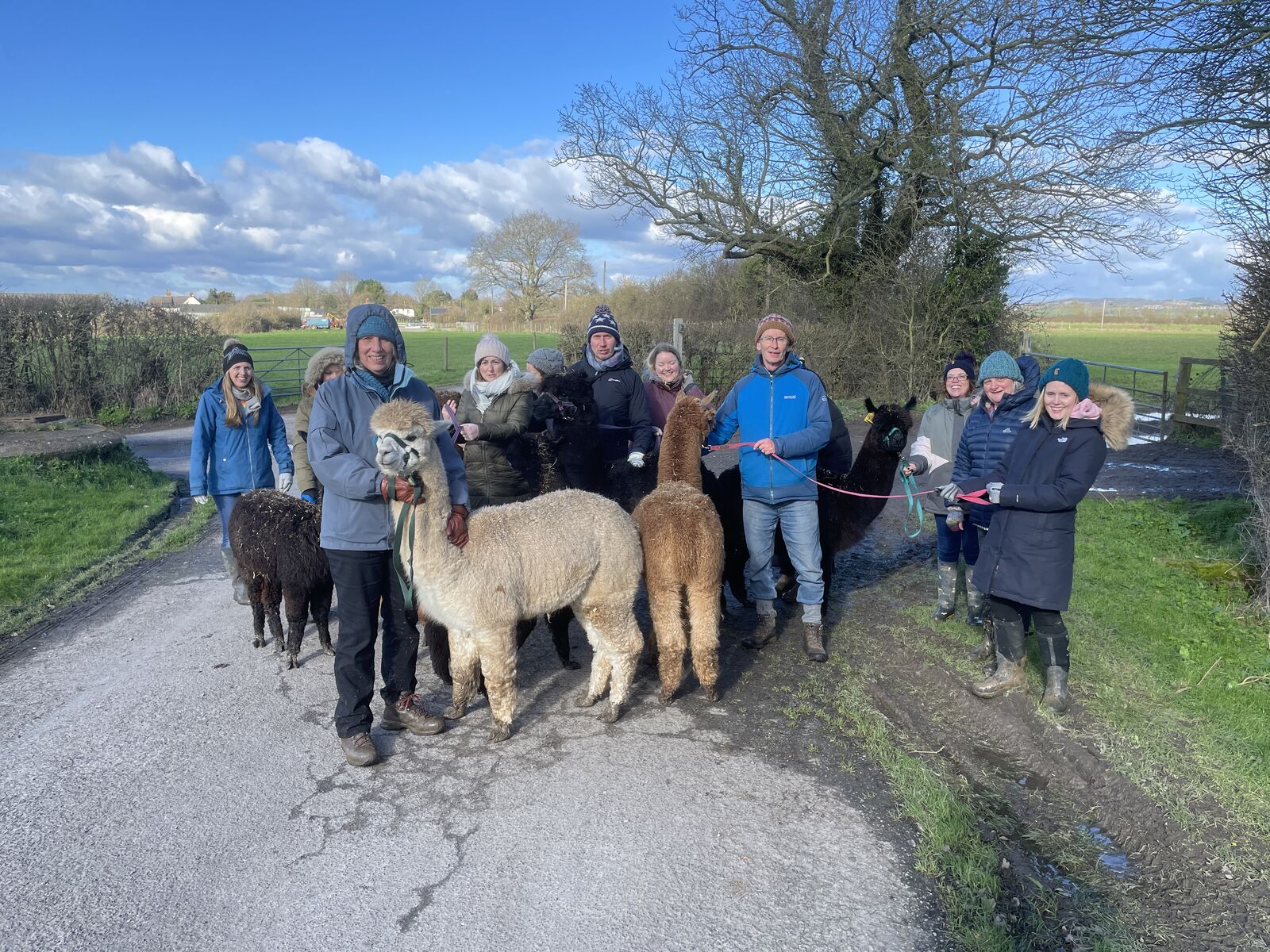 Group walk on a crisp winter morning