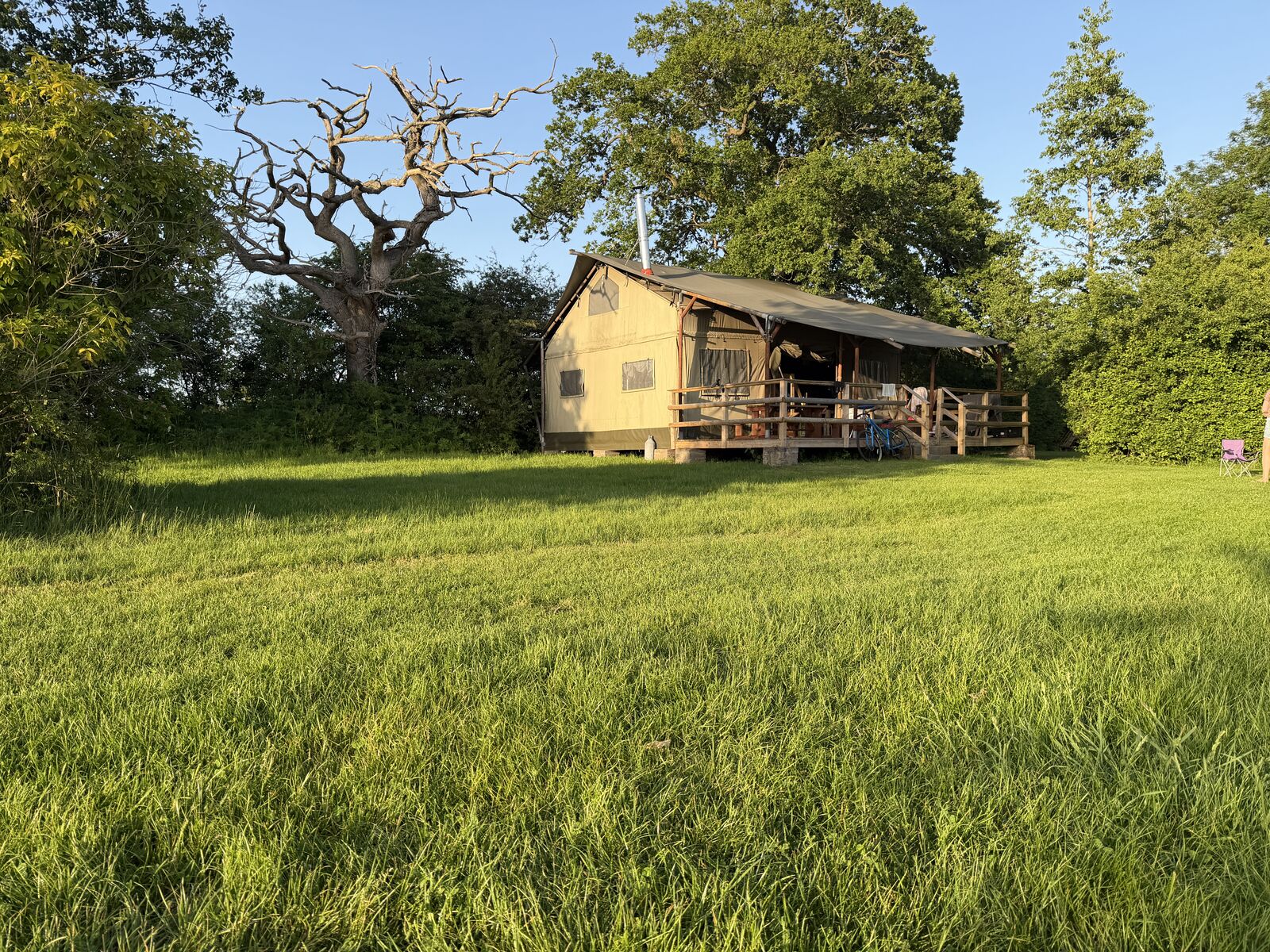 Squirrel Lodge in the evening sun