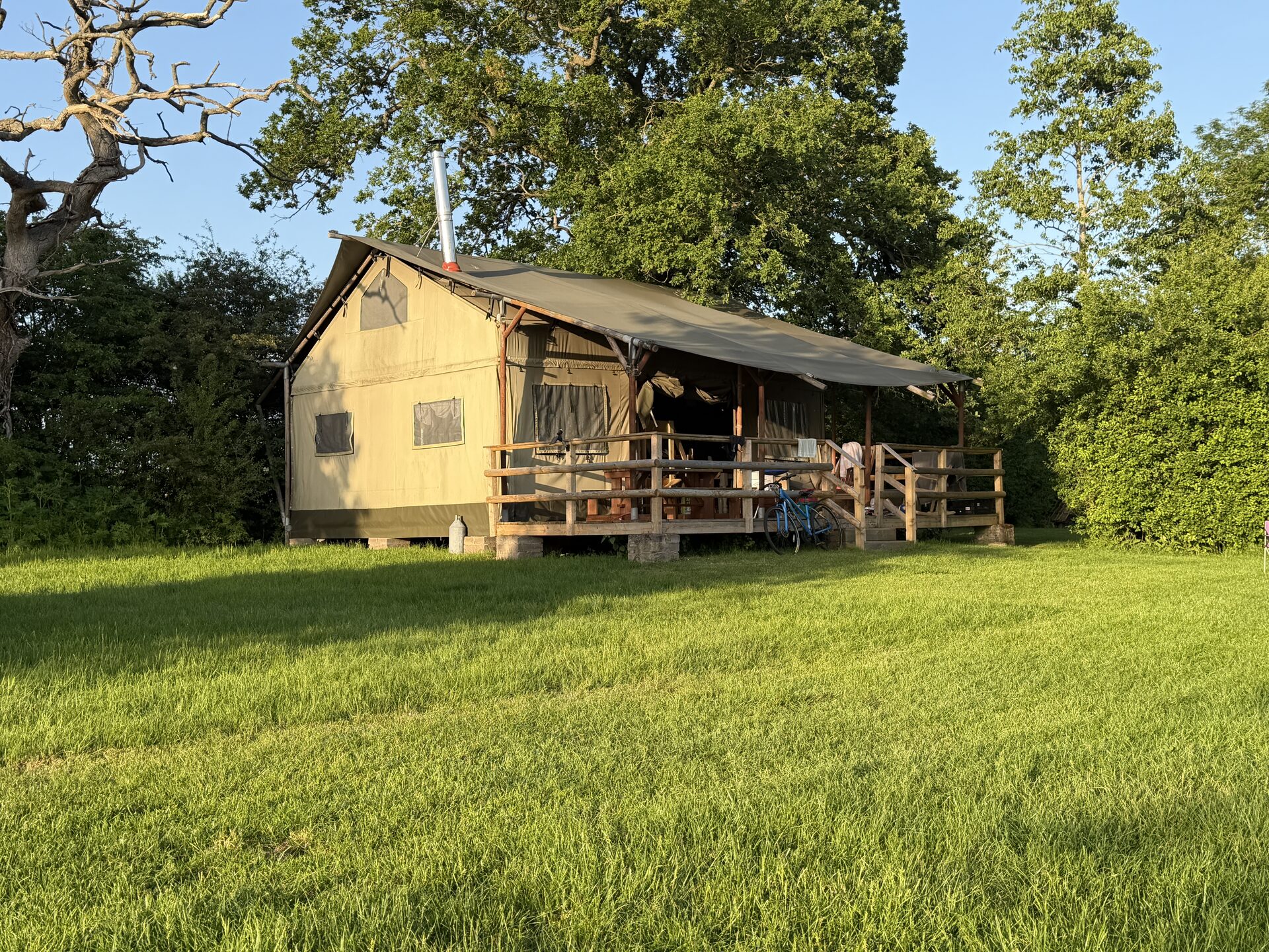 Squirrel Lodge