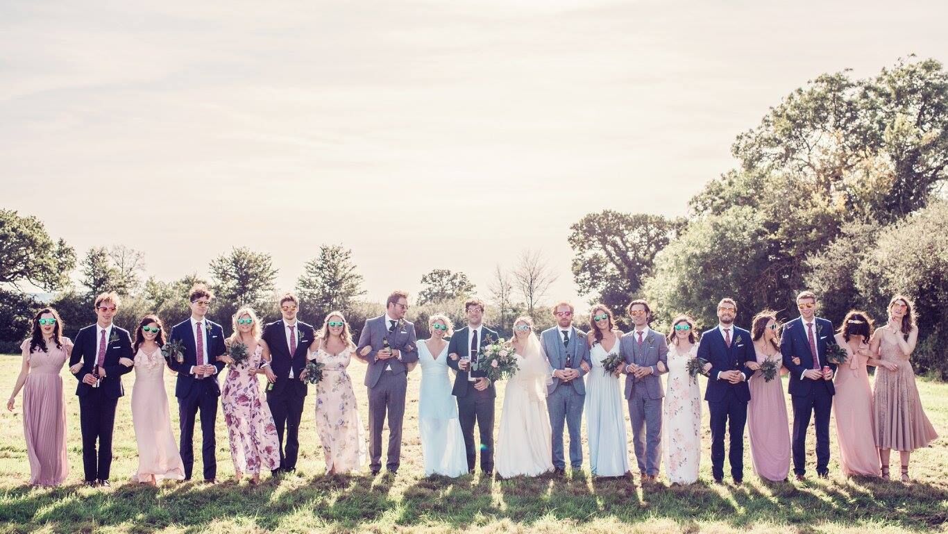The wedding party in the meadow