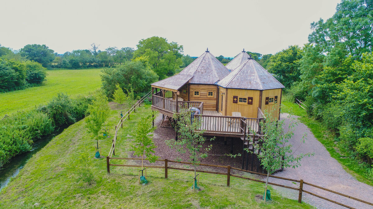 King Arthur's Willow Treehouse from above